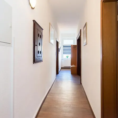 Zoey * アウエルバッハ